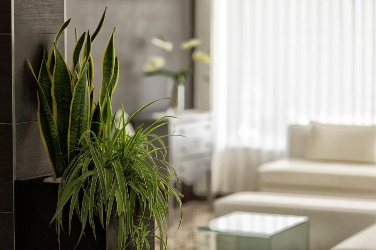 Hotel Bremen Rimini Eksteriør billede